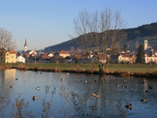 Bürgergemeindeversammlung